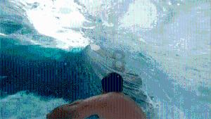 奈飞涨9.30% 股价突破500美元大关